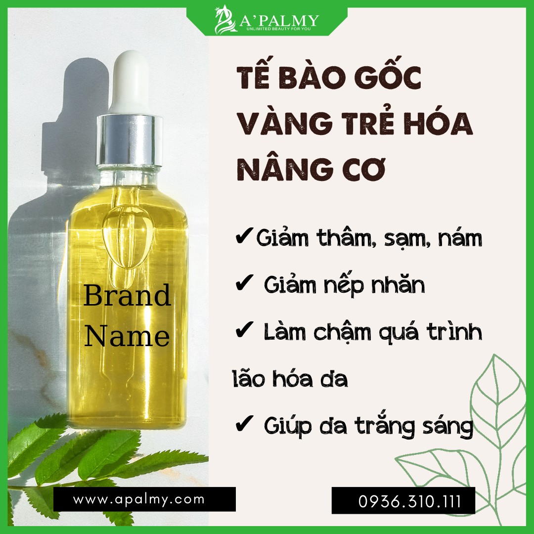 Gia Công TBG Vàng Trẻ Hóa Nâng Cơ